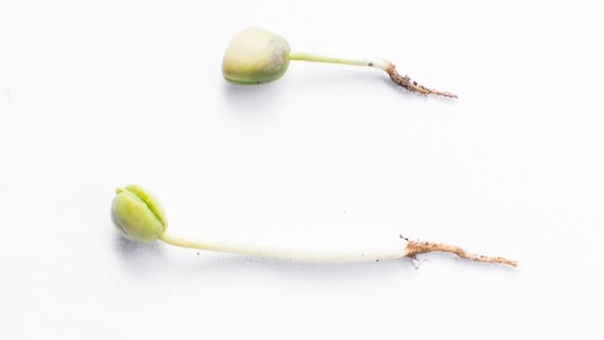 Today’s Growth Hack – Unlearning