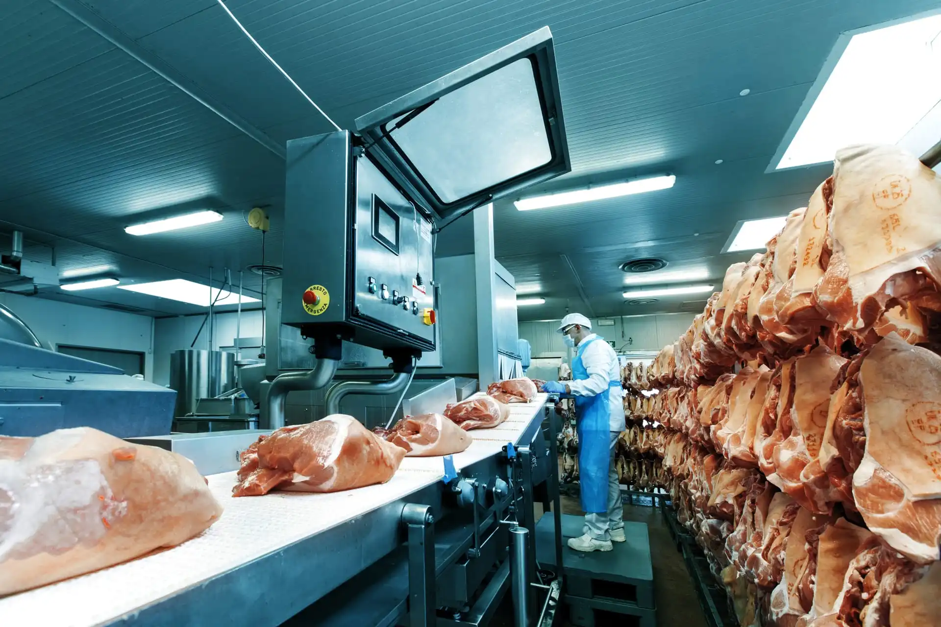 Foto in cui viene mostrata la materia prima pronta per la produzione dei prosciutti cotti