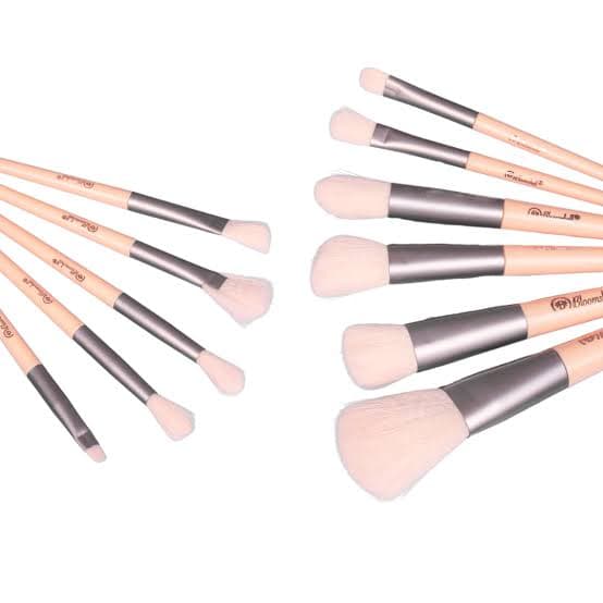 BROCHAS ROSE ELEGANCE KIT X 10 - Bonita Maquillaje