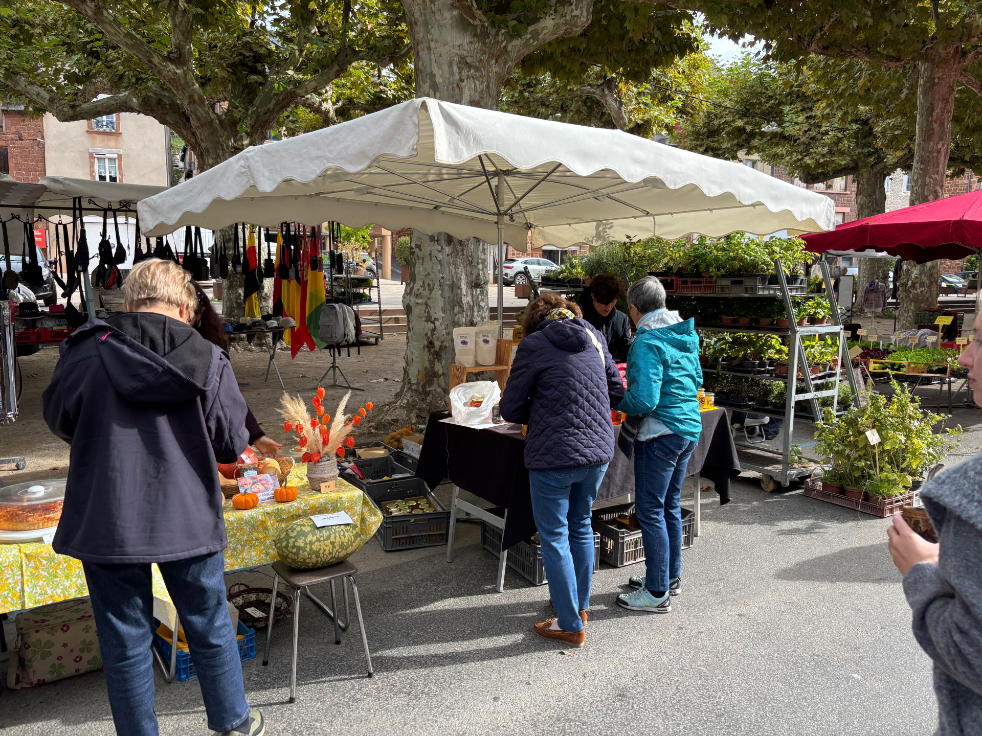 Photo 9 de Photos du marché
