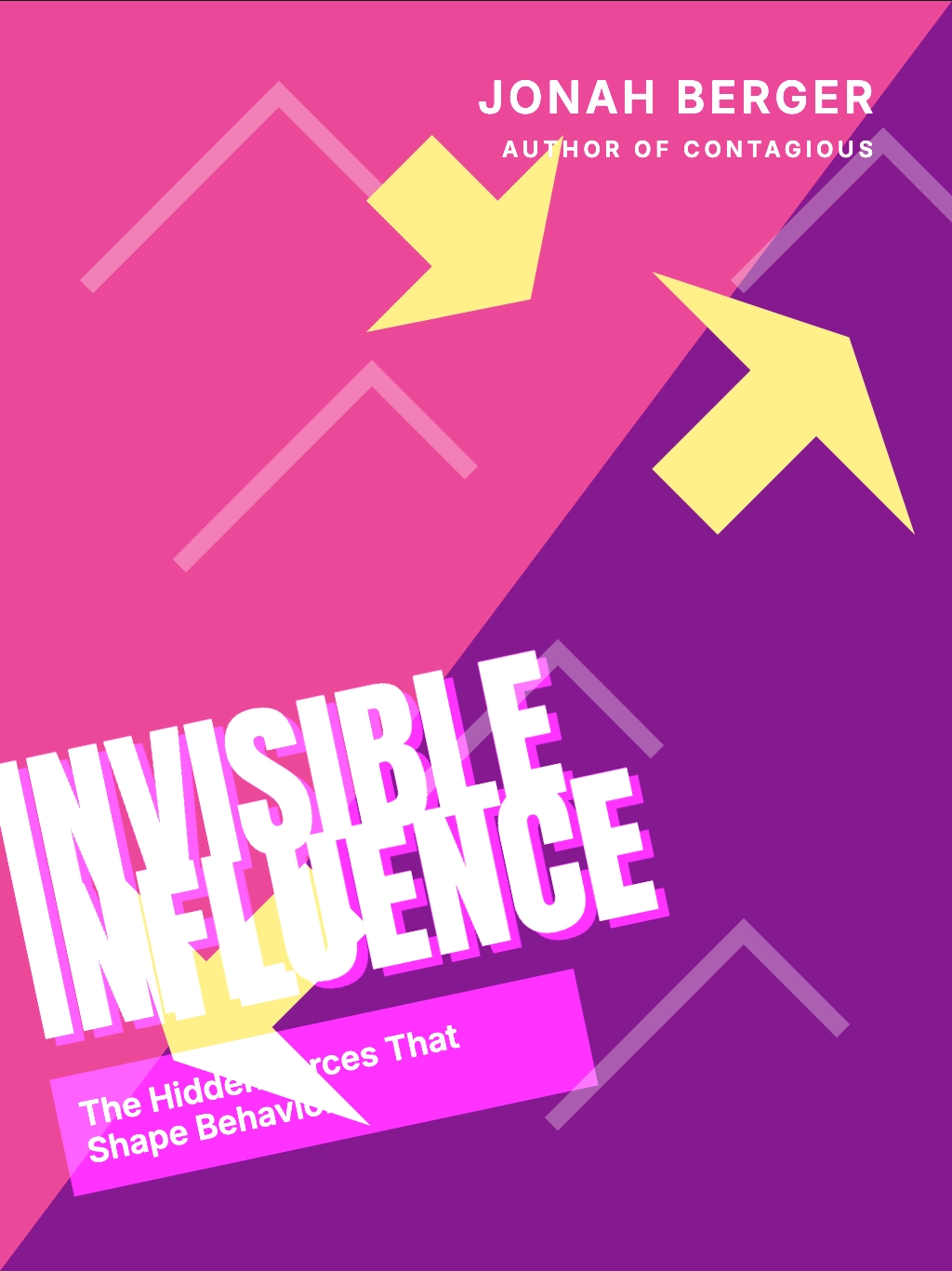 Social Echoes: The Unseen Architects of Choice