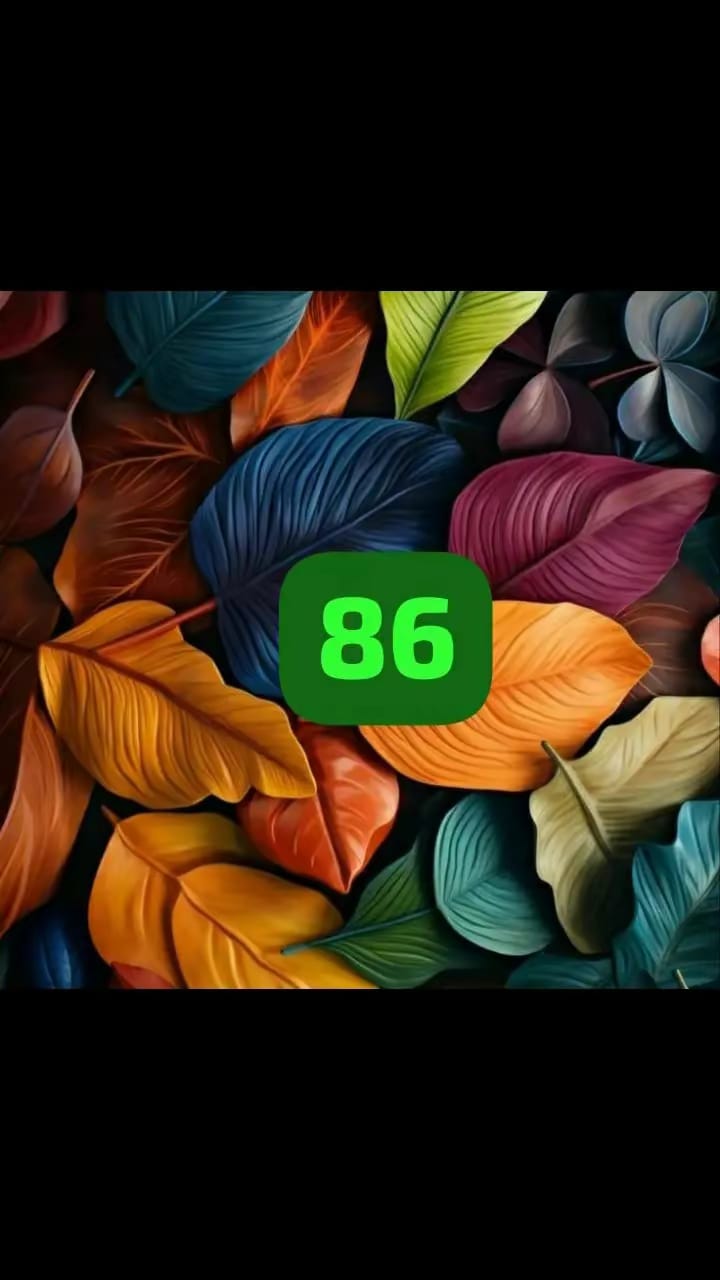 86 Luxury Salon logo