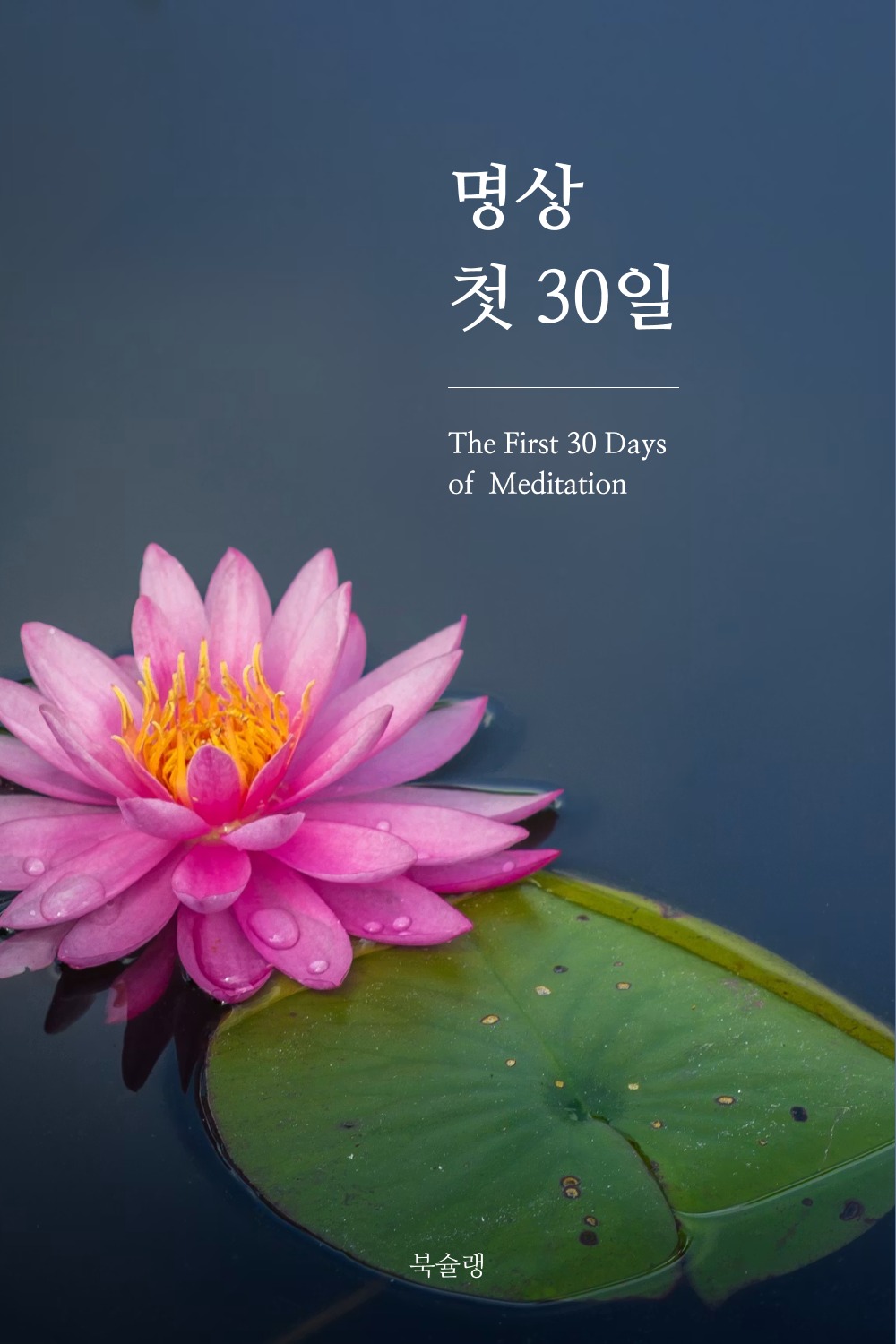 명상 첫 30일 표지