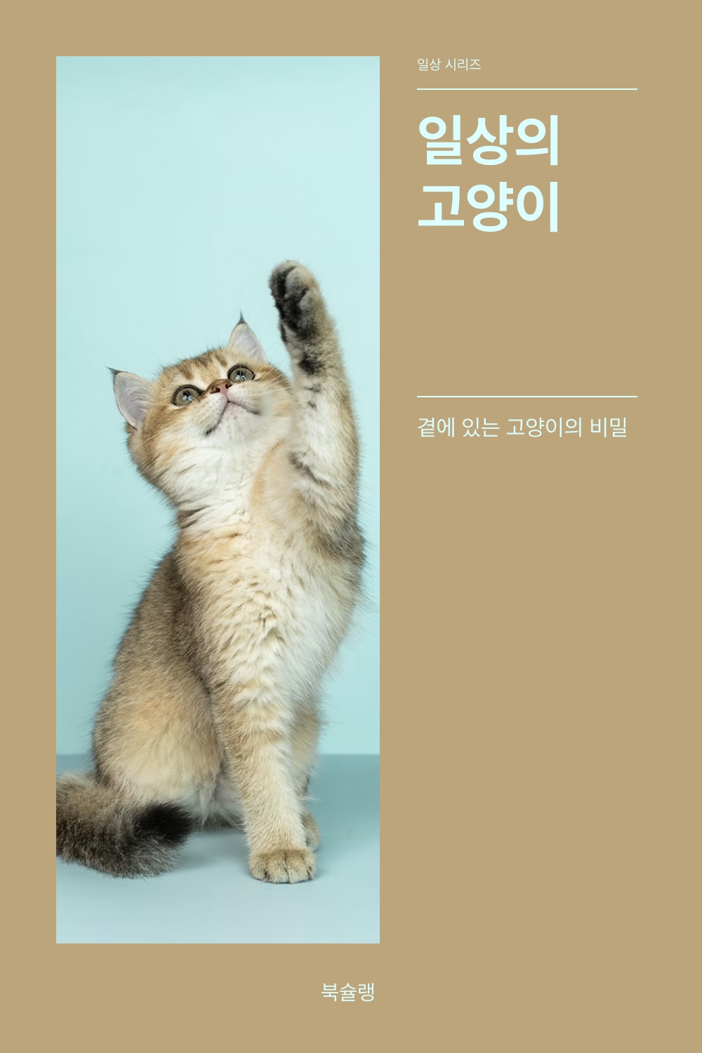 일상의 고양이 표지