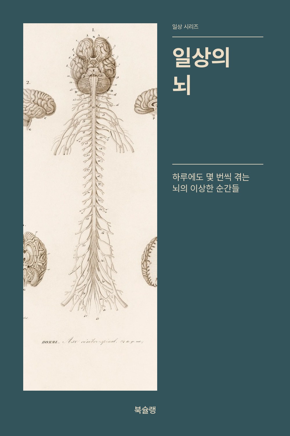 일상의 뇌 표지