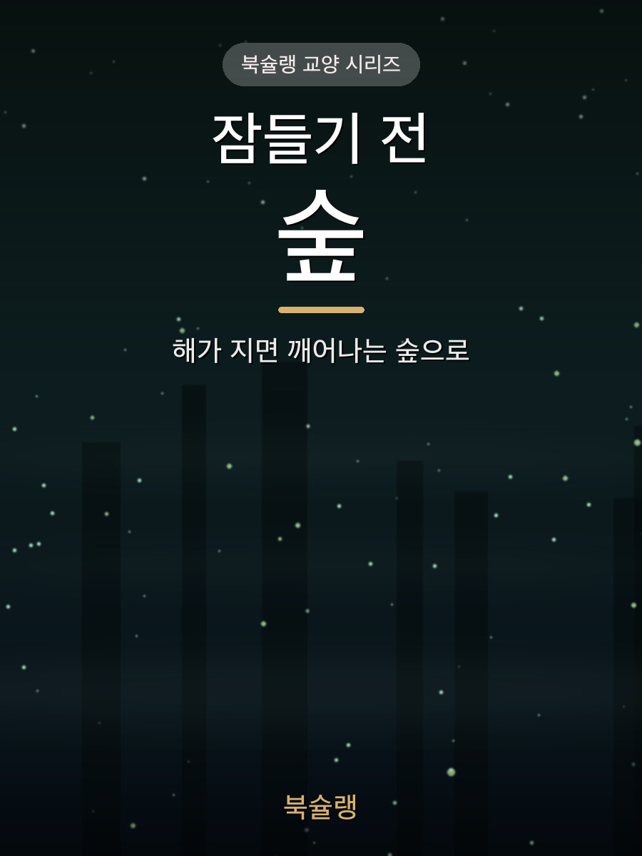 잠들기 전 숲 표지
