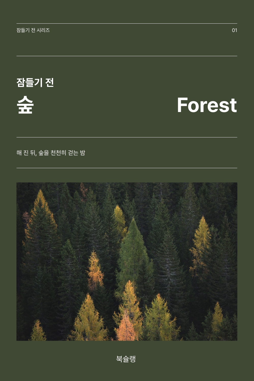 잠들기 전 숲 표지