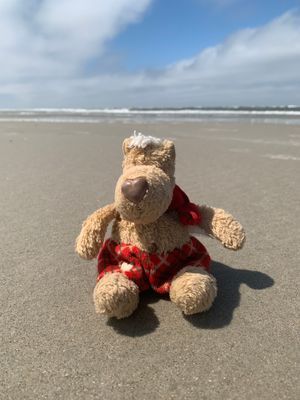 Friederike