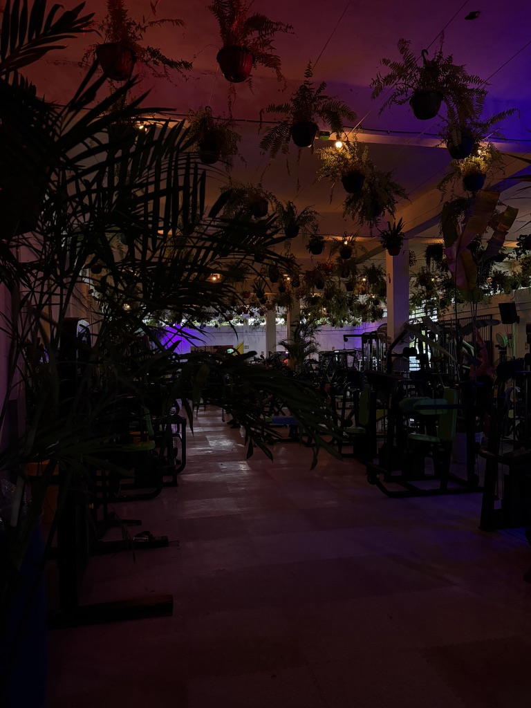 Interior corridor at Bacalar Jungle Gym