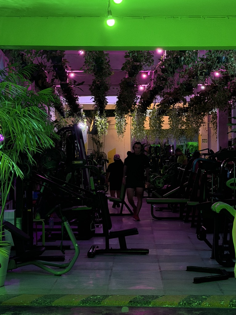 Training machines at Bacalar Jungle Gym