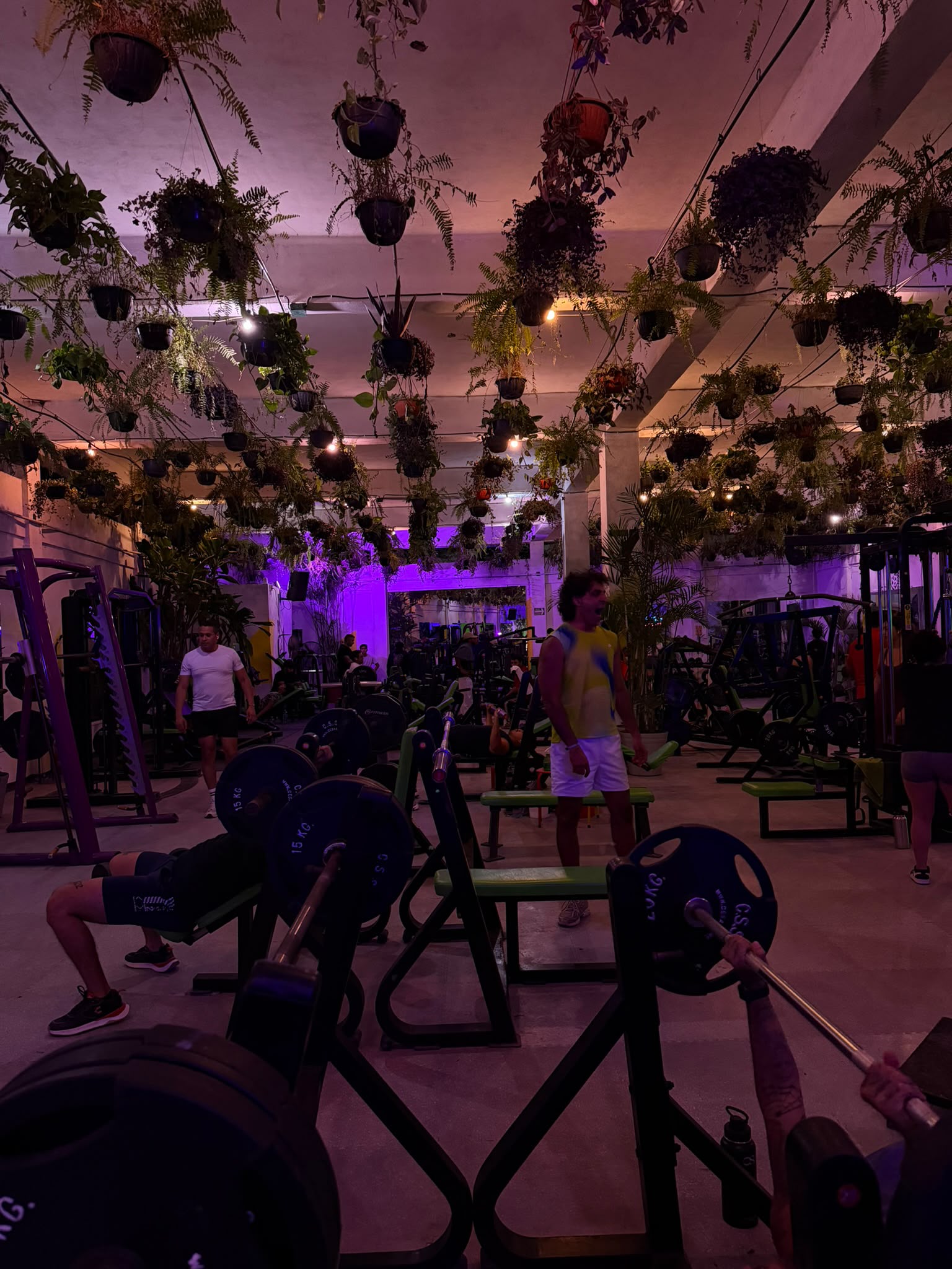 Bacalar Jungle Gym: Gym Guide and Free Day QR