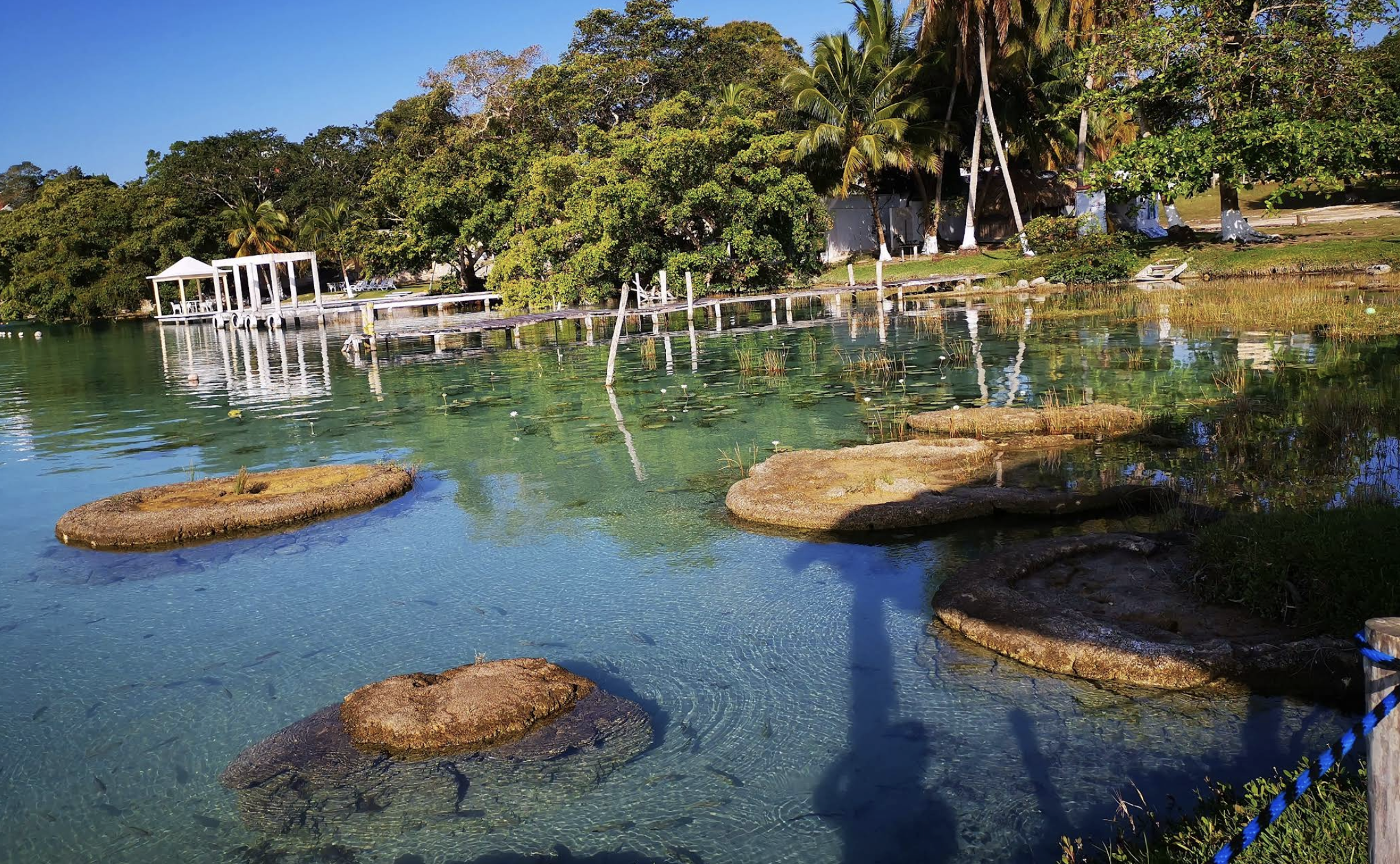 Cenote Cocalitos Santuario de los Estromatolitos 5