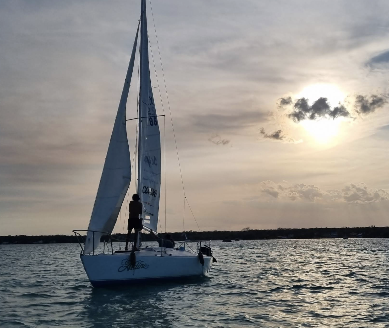 Isla de los Pájaros 3