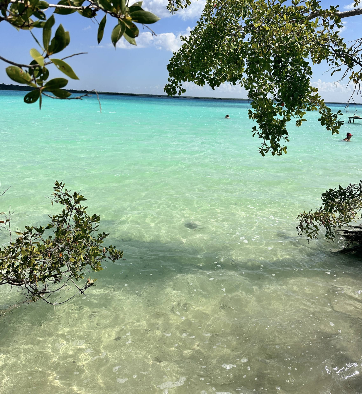 Acceso a la Laguna 2