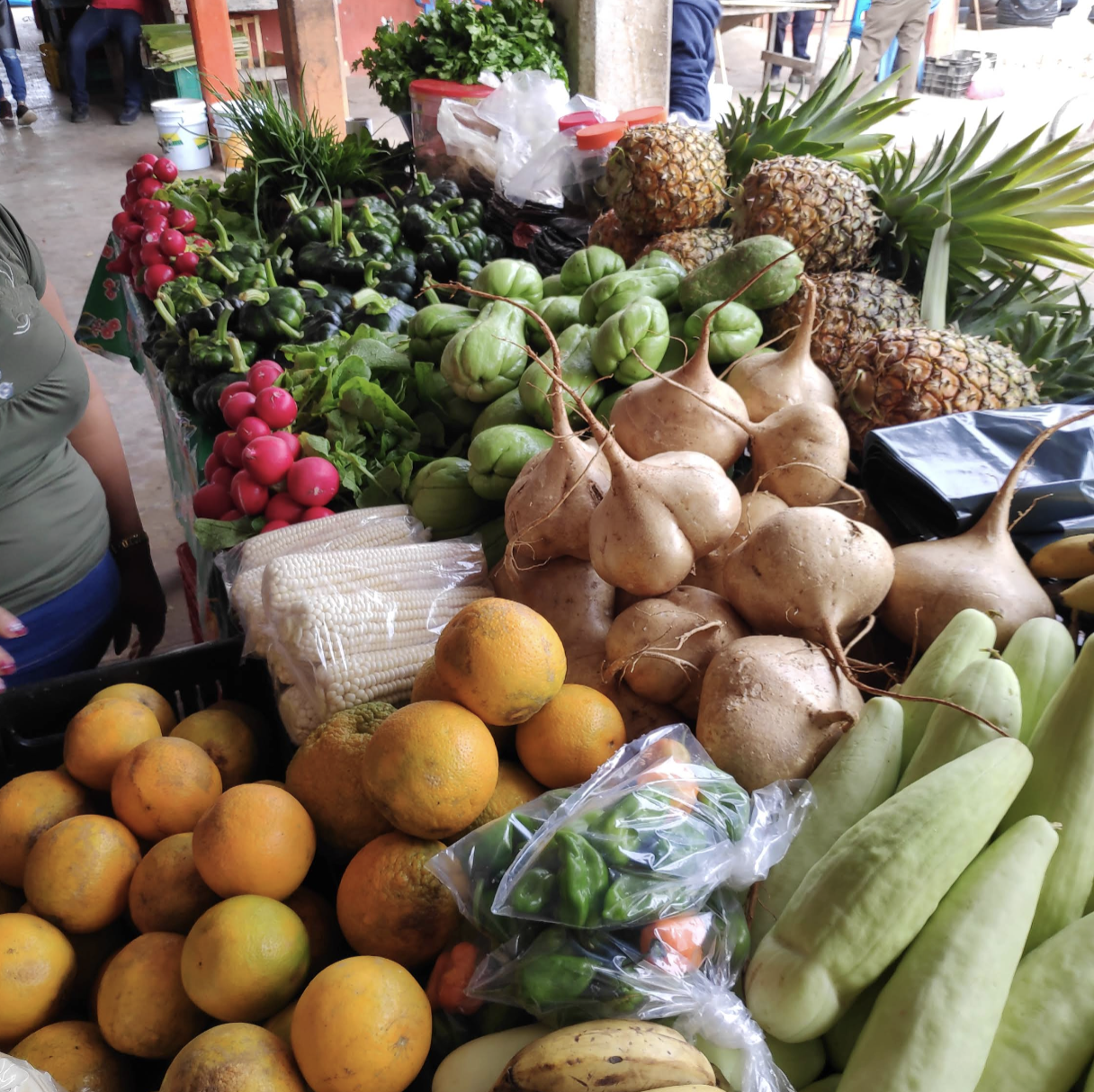 Mercado Municipal "Ignacio Zaragoza" 2