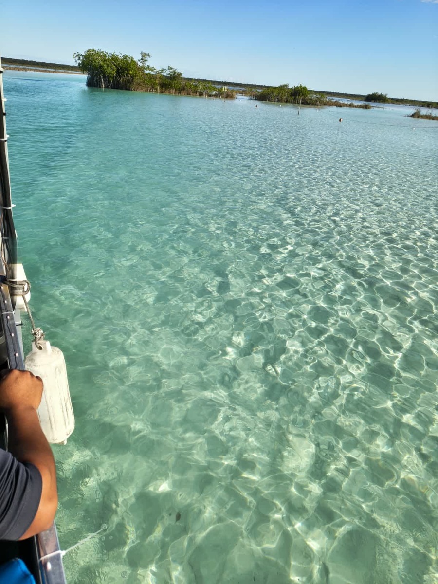 Extreme clarity of the water and white sand bottom in Bacalar