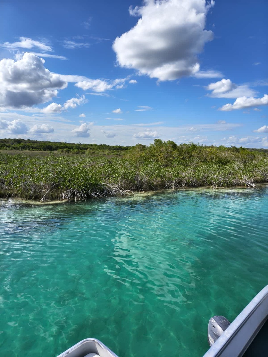 The Bacalar Rapids, crystal clear water and steady current
