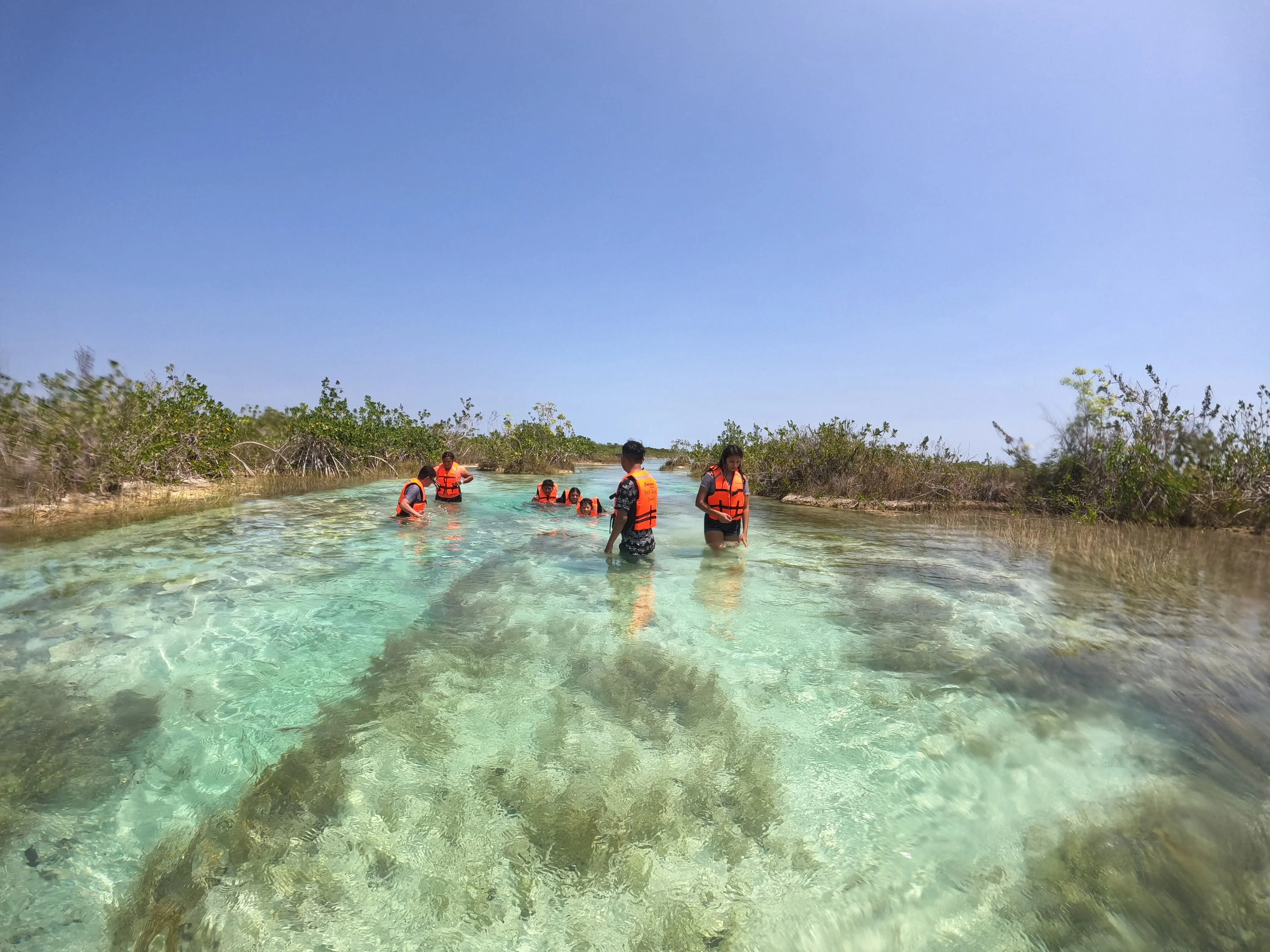 Private Tour to Los Rápidos Bacalar (4 hours) - Image 4