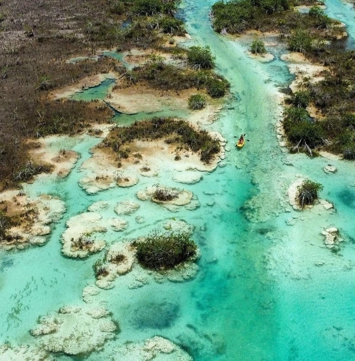 Private Tour to Los Rápidos Bacalar (4 hours)