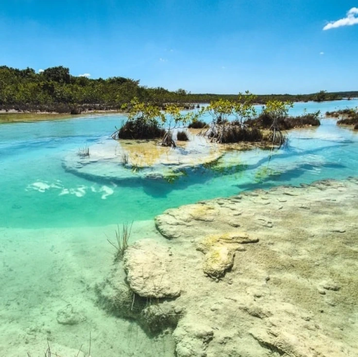 Tour Privado a Los Rápidos de Bacalar (4 horas) - Image 2
