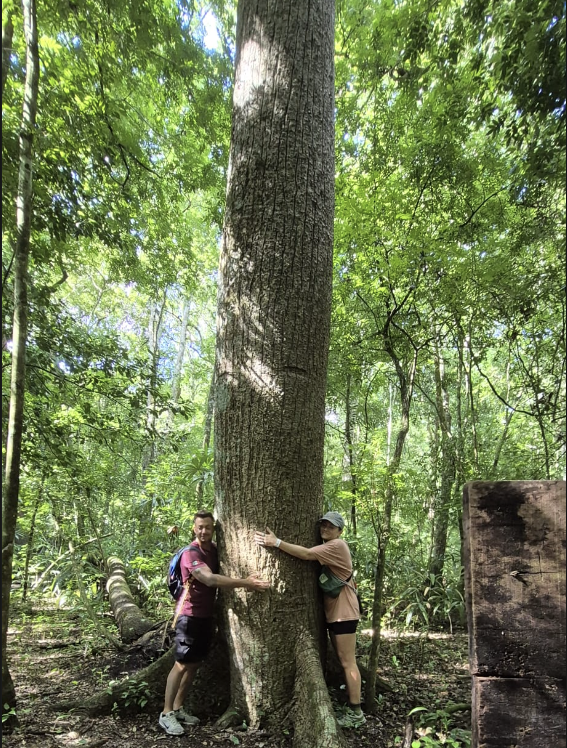 Expedición por la Selva Maya de Bacalar - Image 4