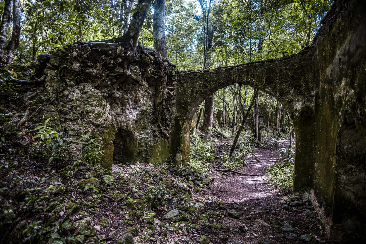 Expedición por la Selva Maya de Bacalar - Image 8