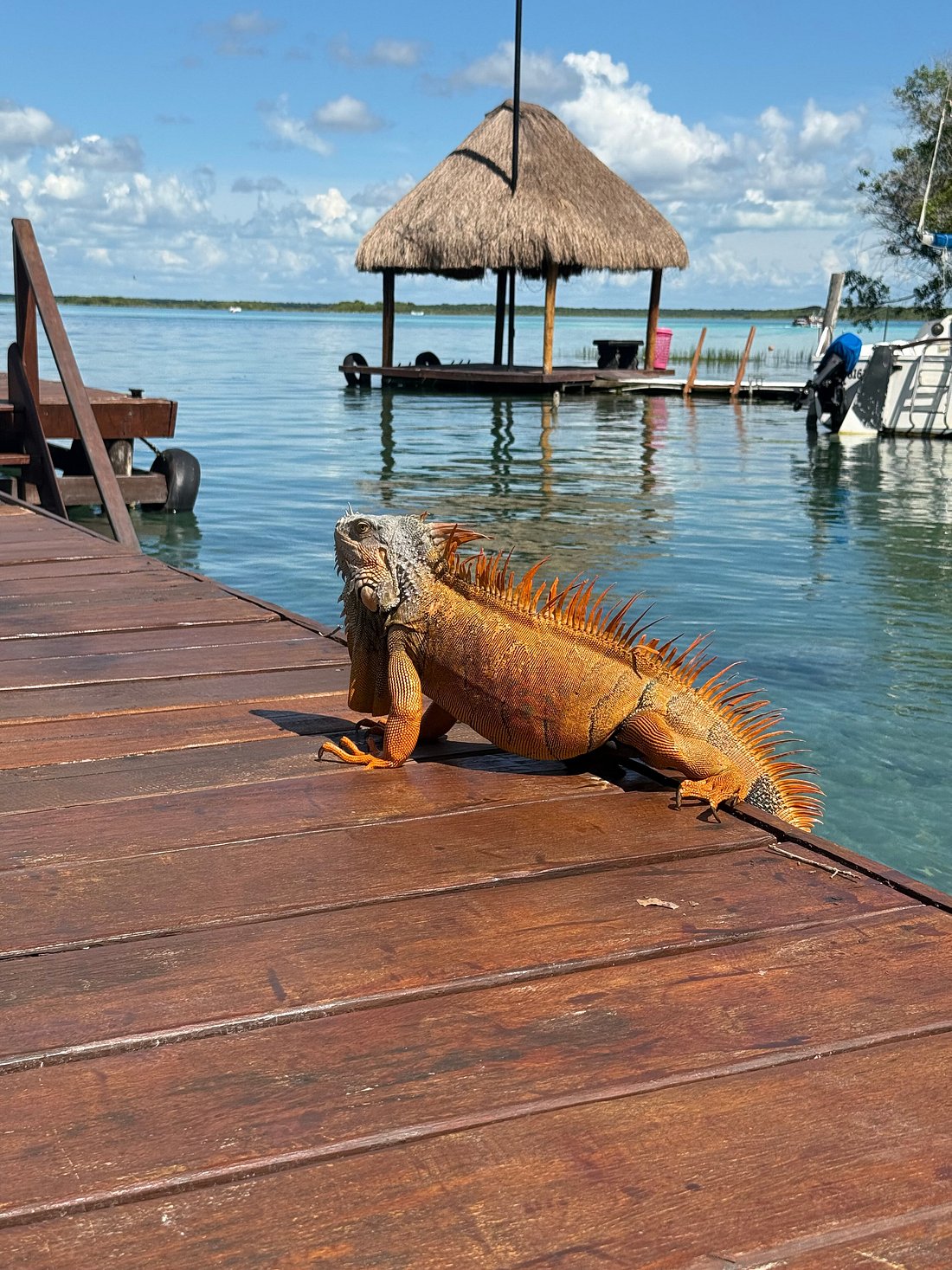 Day Pass Hotel Amainah Bacalar - Image 4