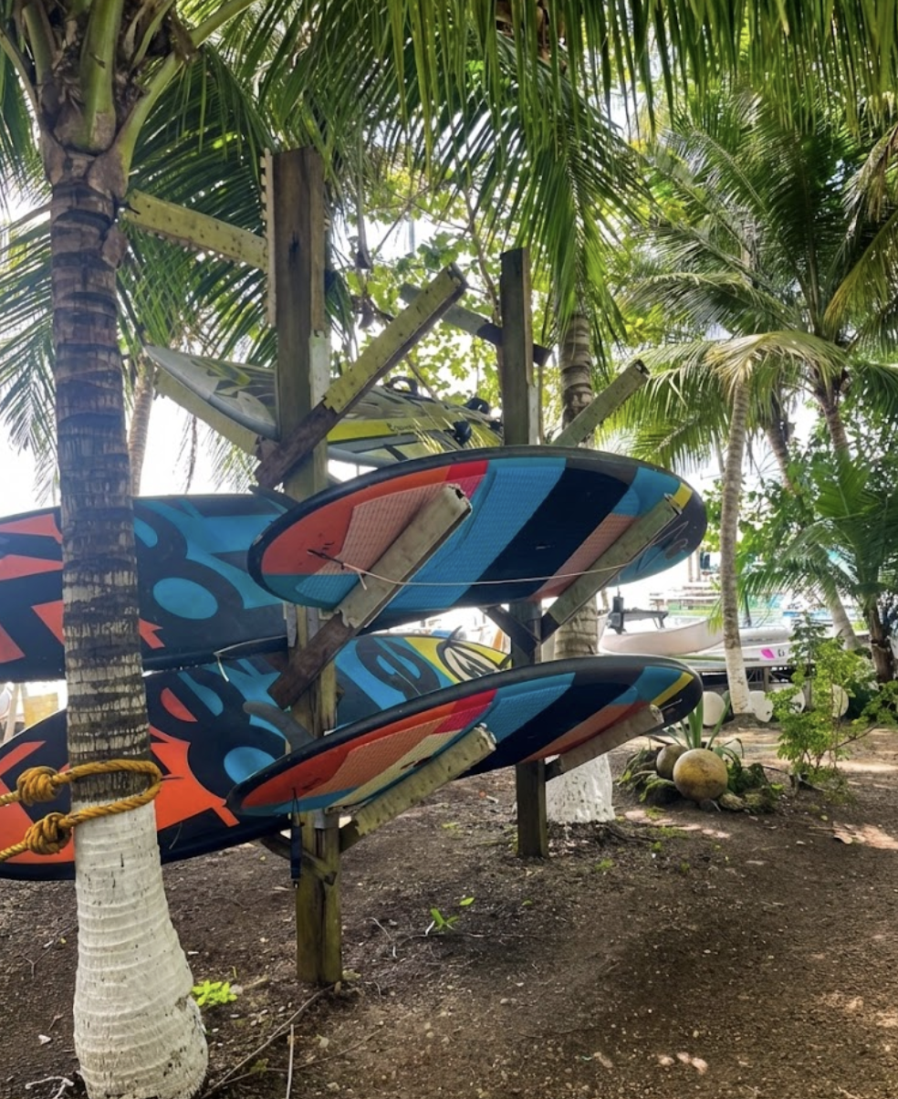 Renta de Stand Up Paddle - Image 3