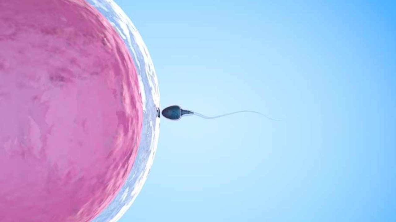 Bayi Tabung Uji Hasil Dari Persenyawaan Melalui Kaedah IVF- DoctorOnCall