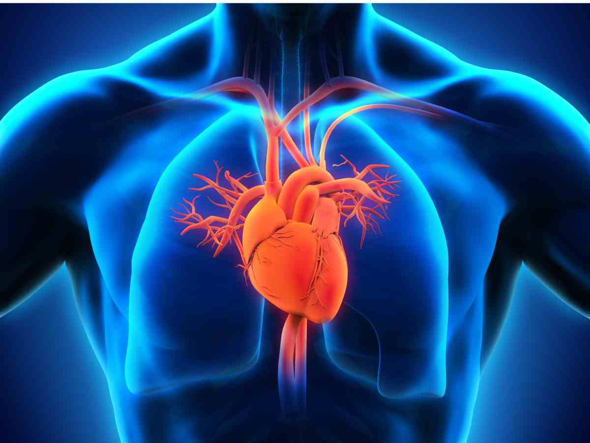 Penyakit Jantung Bengkak Dan Gejala Yang Perlu Diketahui - DoctorOnCall