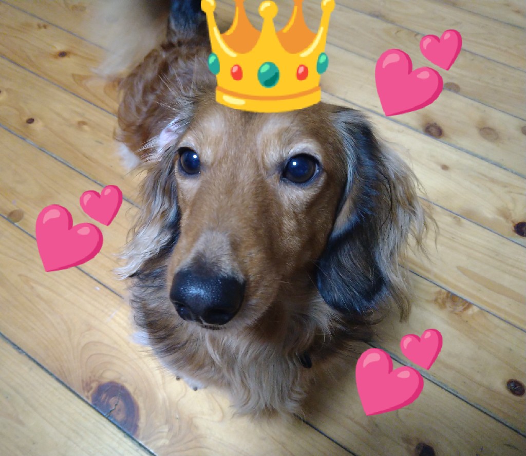 harki