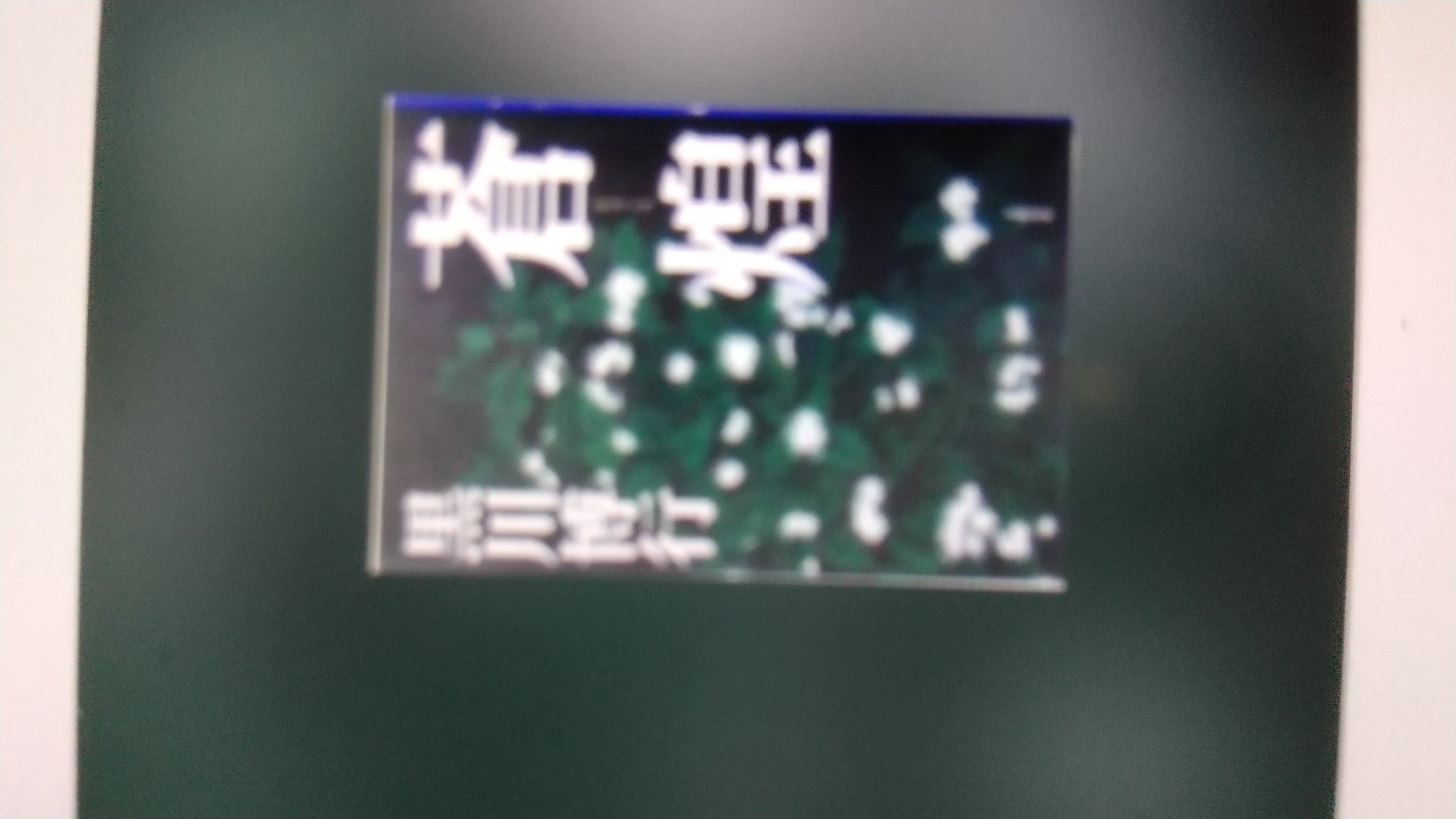 蒼煌