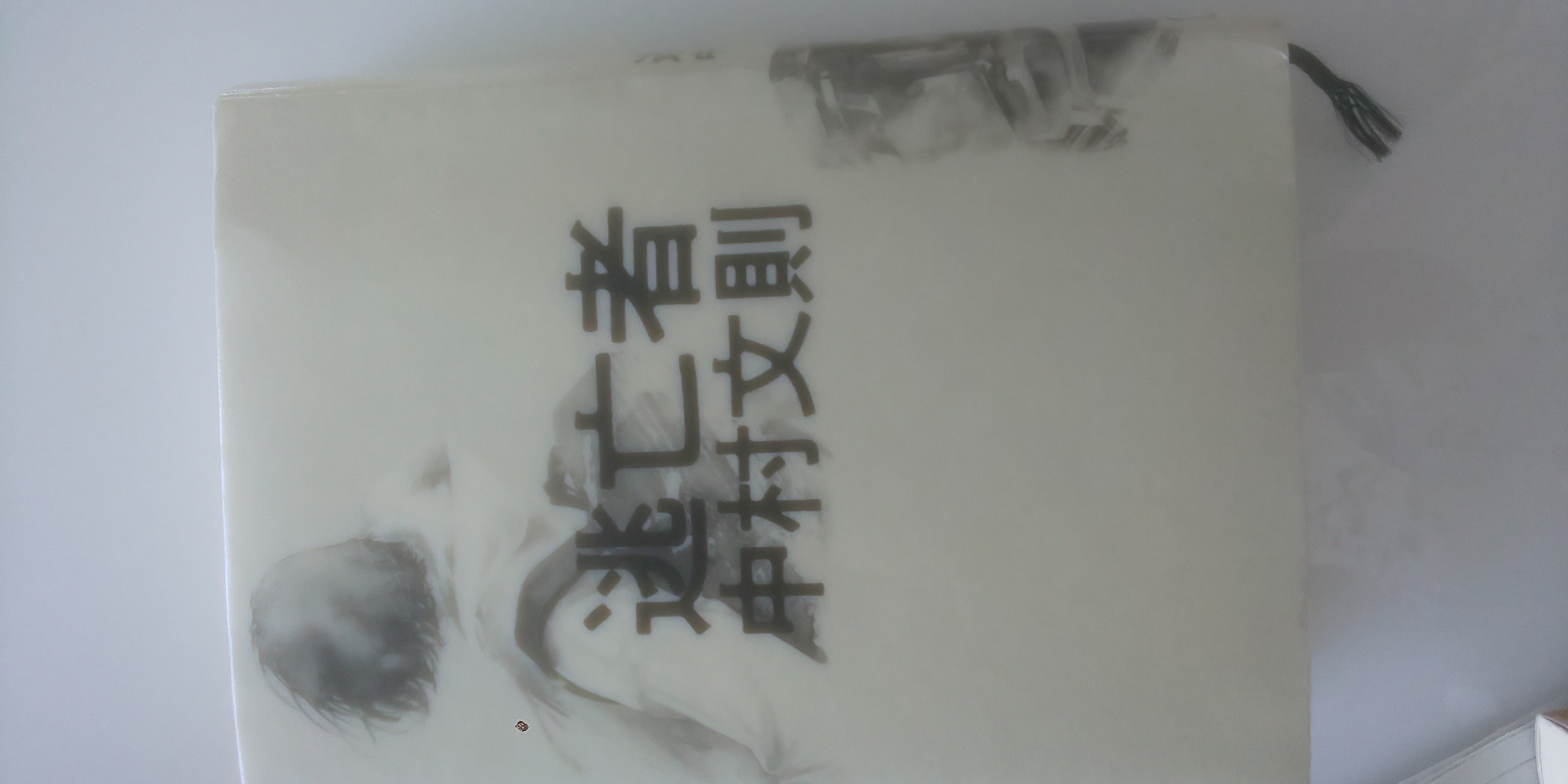 逃亡者