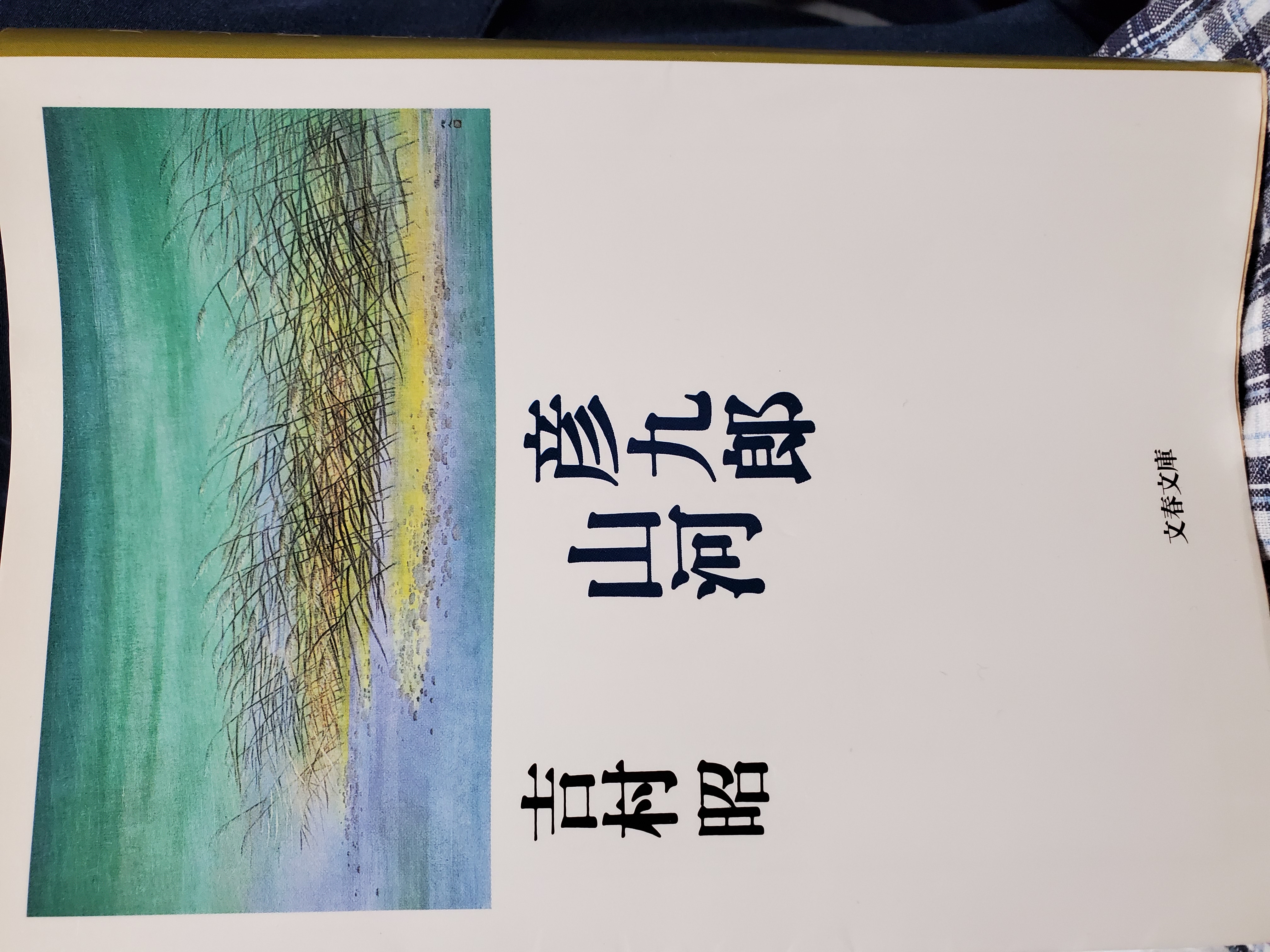彦九郎山河