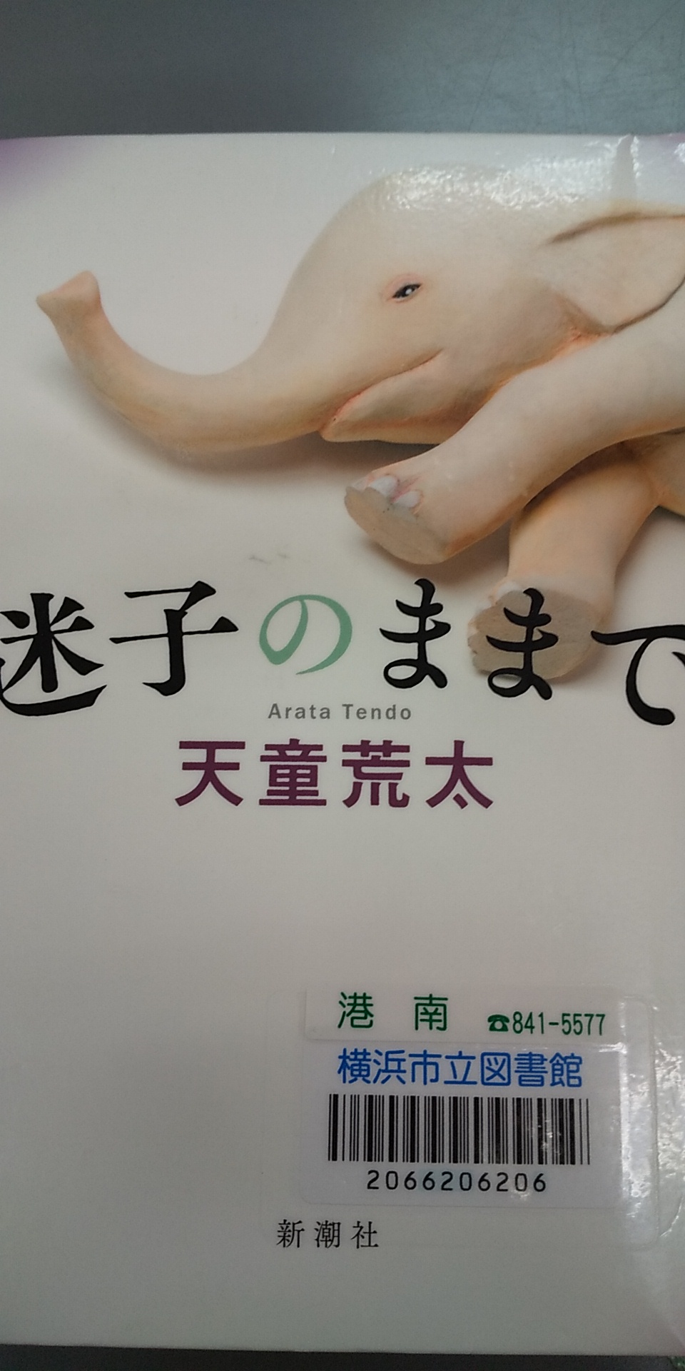 迷子のままで
