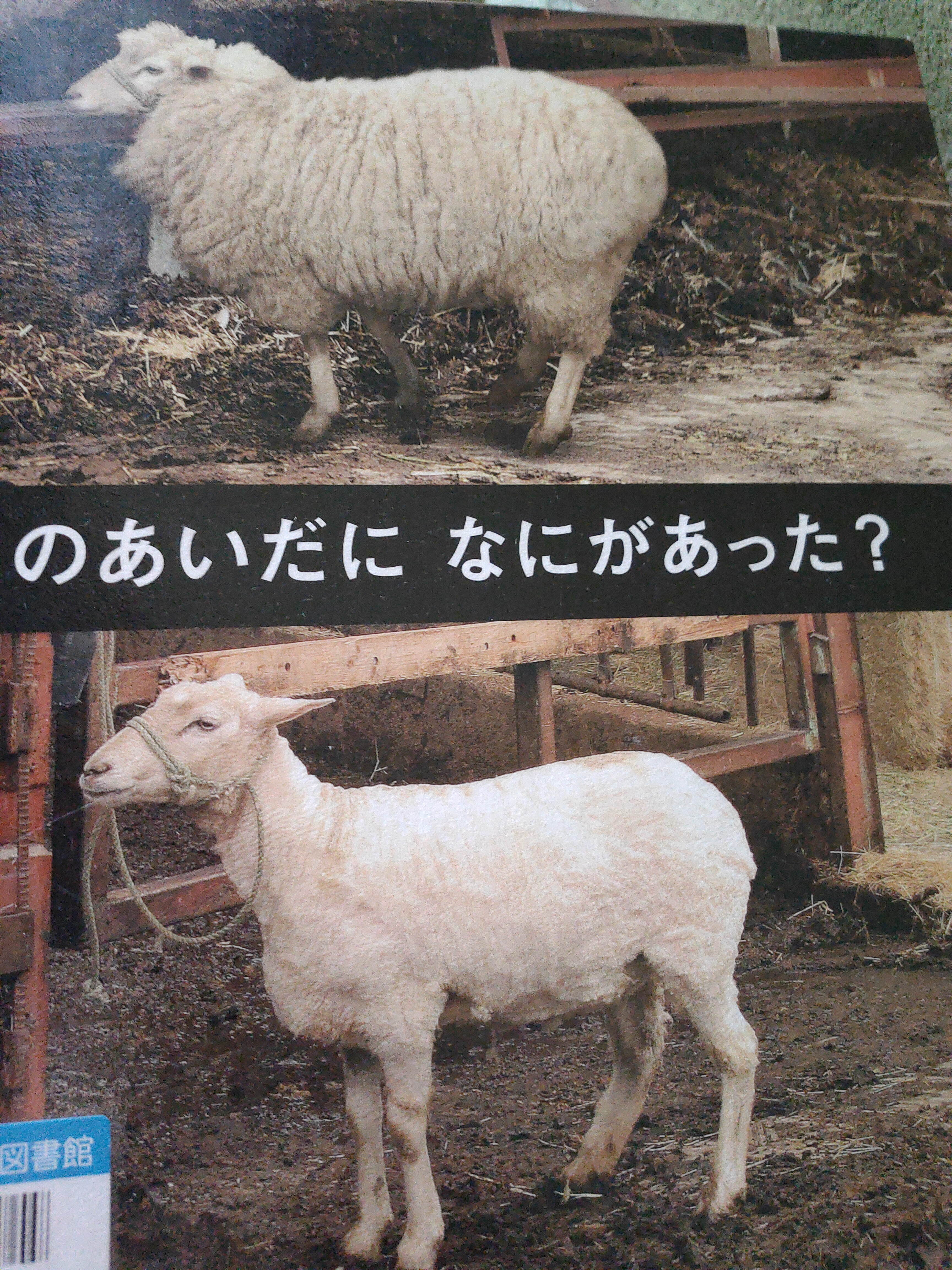 このあいだになにがあった?