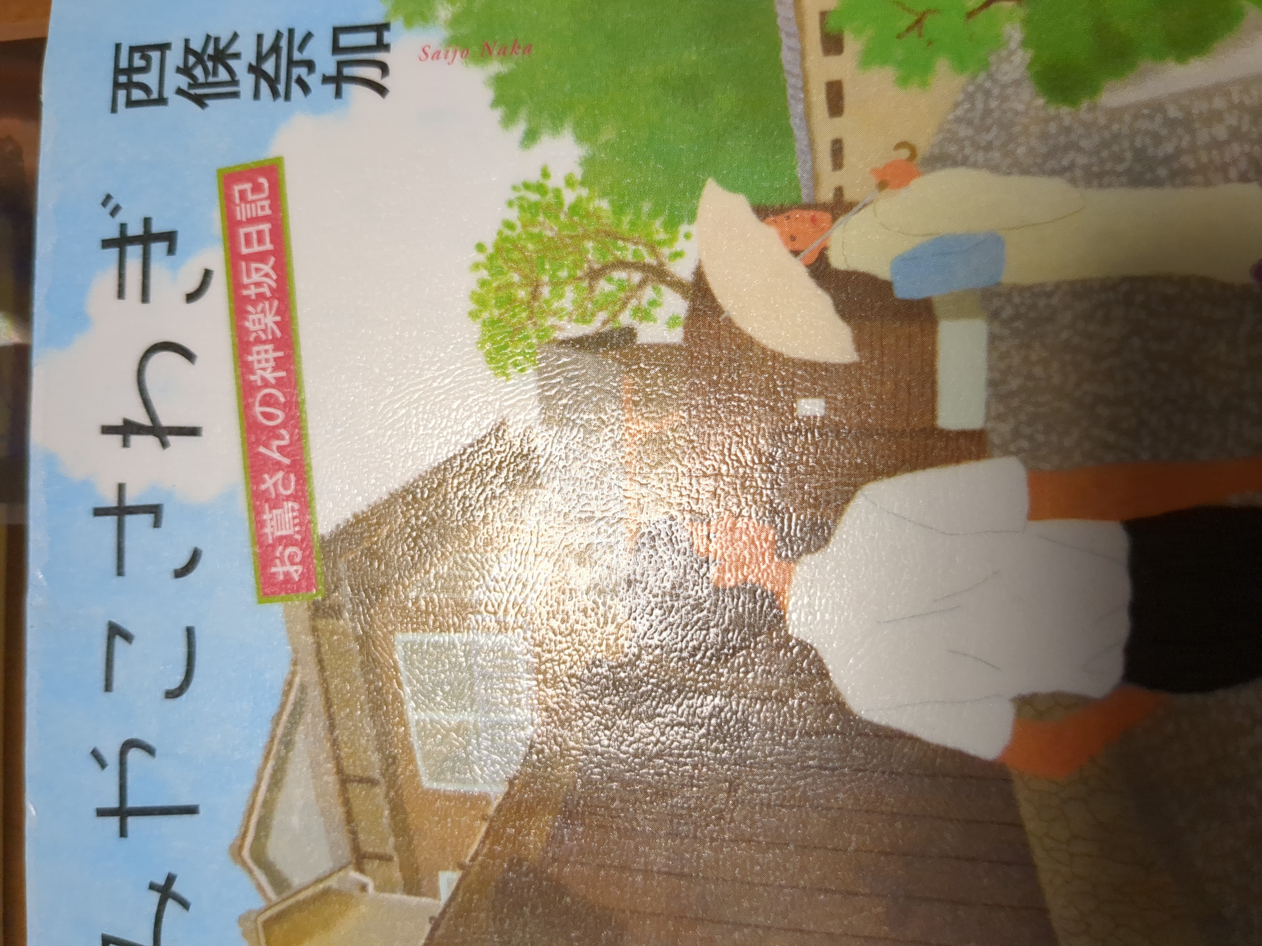 みやこ