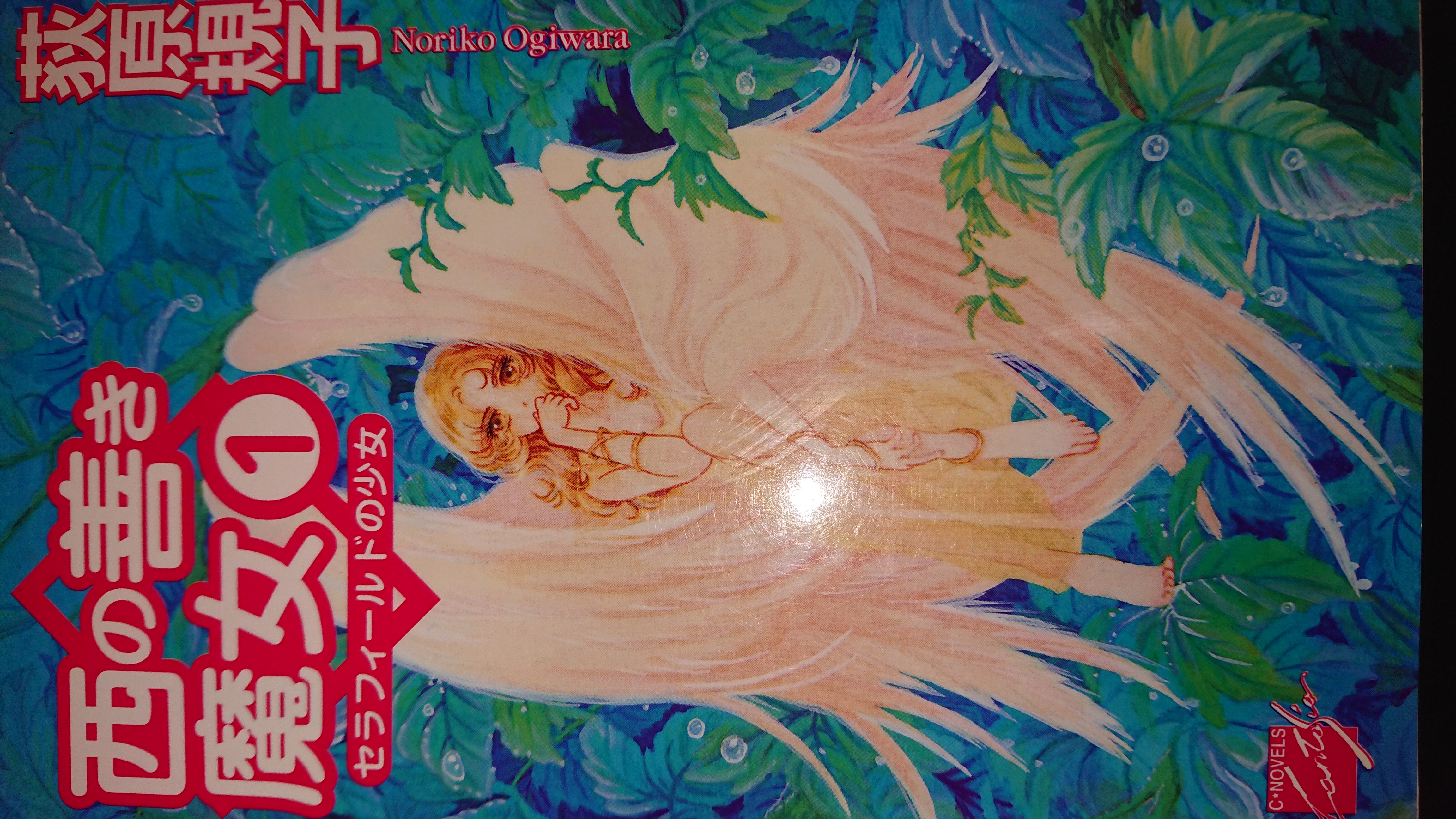 西の善き魔女(1)