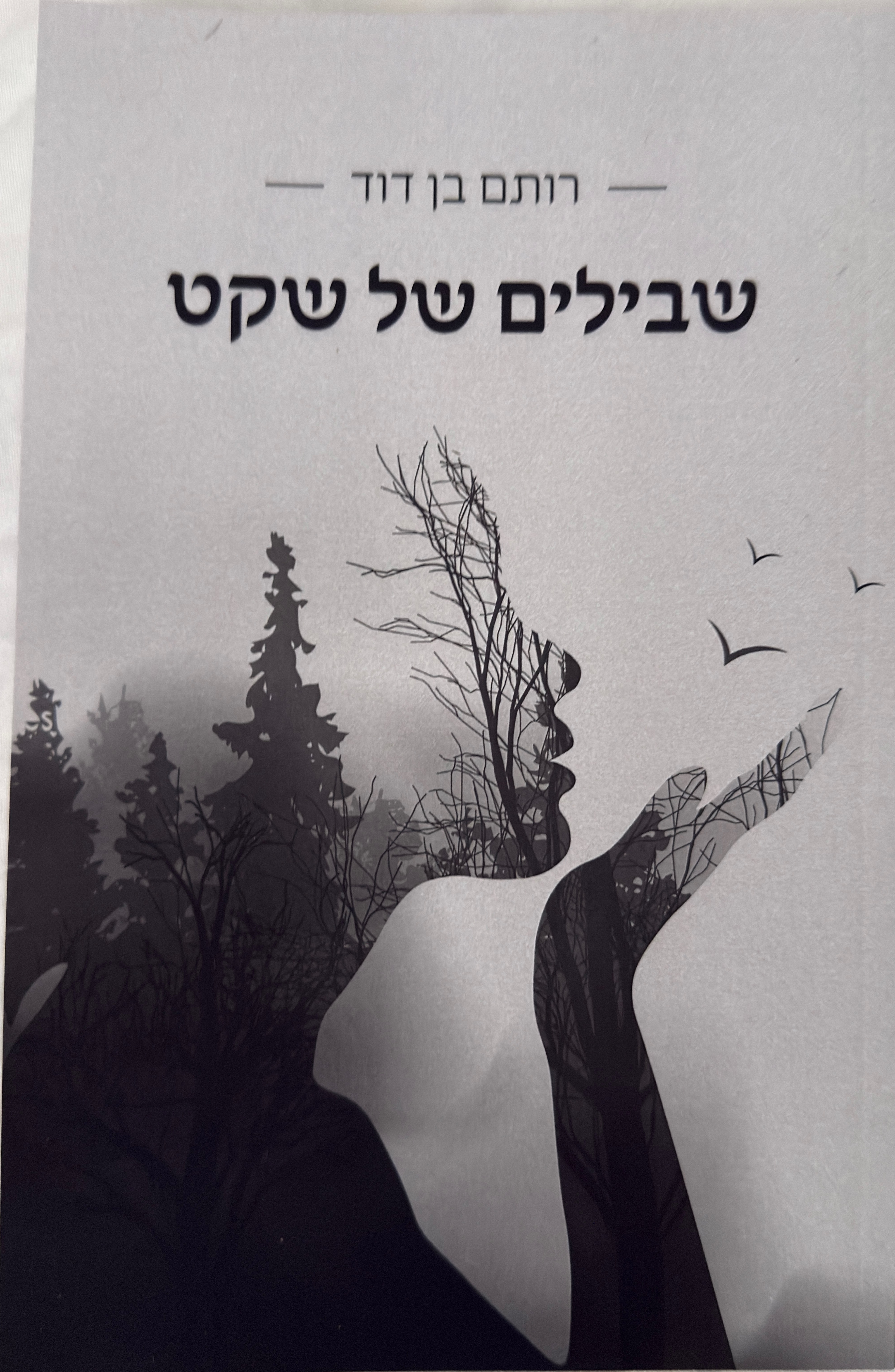 כריכת הספר שבילים של שקט