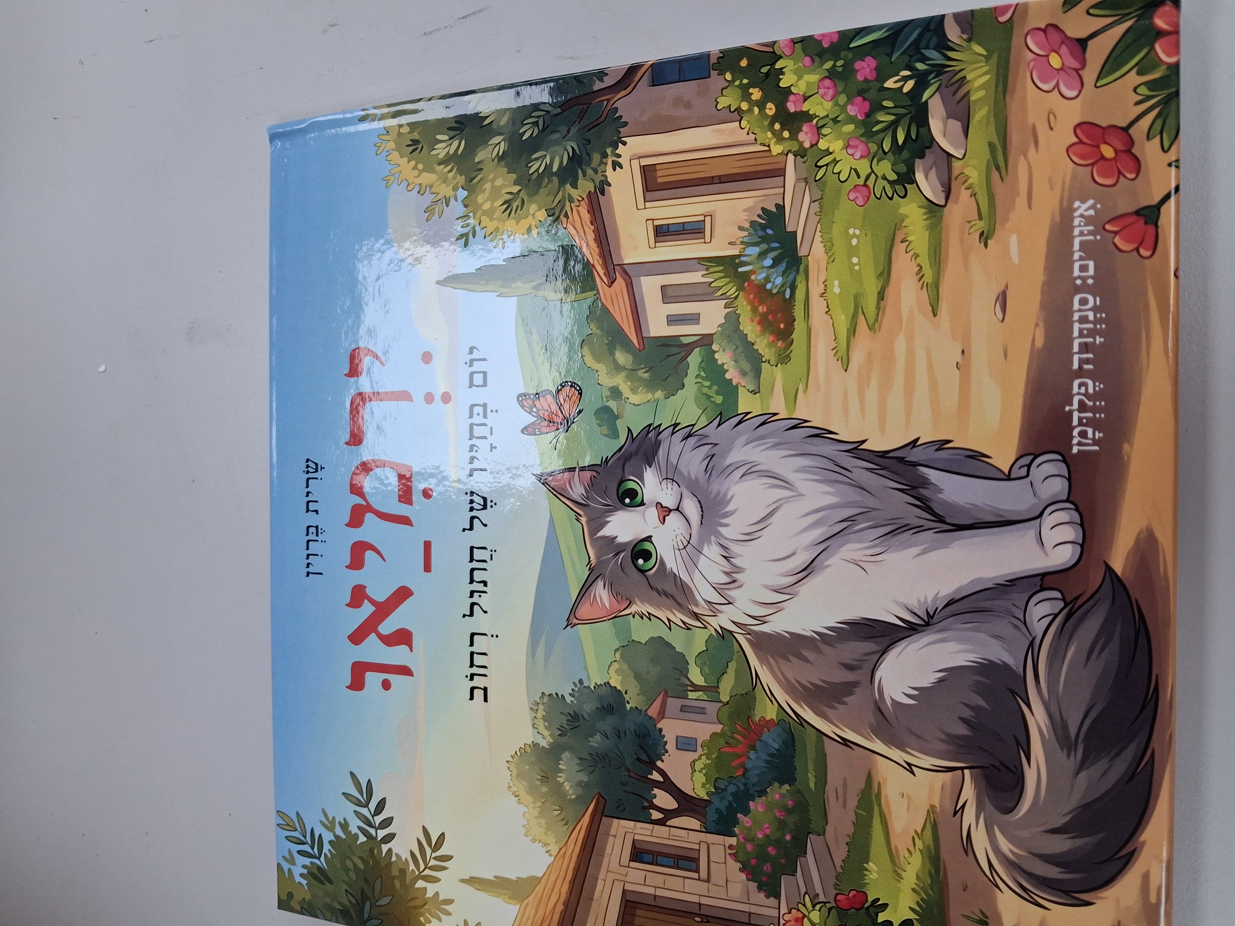 כריכת הספר ירמיאו - יום בחייו של חתול רחוב