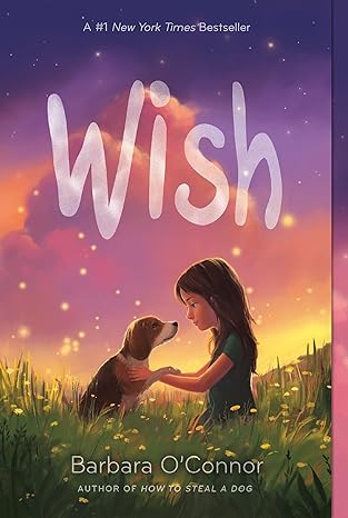 Book cover of Wish by Barbara O'Connor