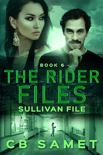 Book cover of Sullivan File by CB Samet