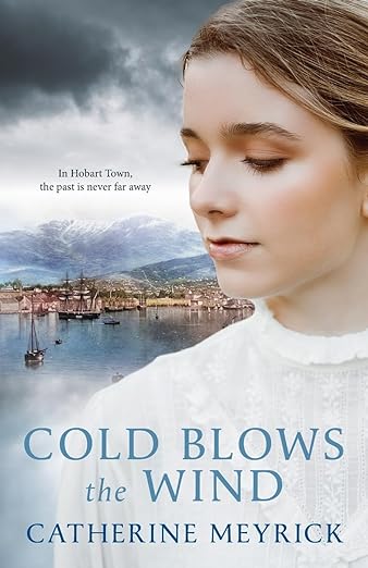 Book cover of Cold Blows the Wind by Catherine Meyrick