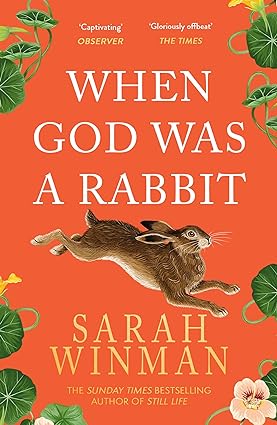 Book cover of When God was a Rabbit by Sarah Winman