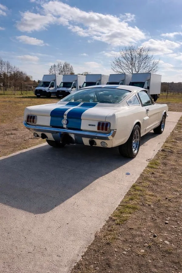 Ford Mustang 6