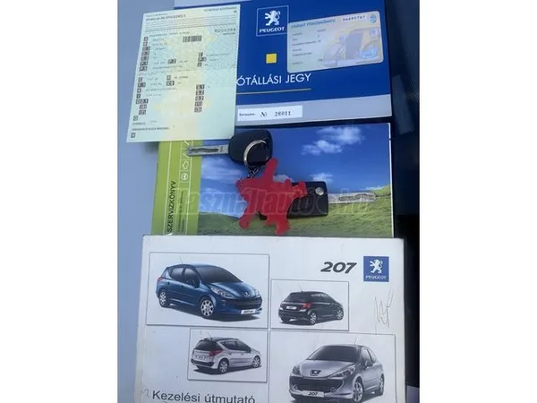PEUGEOT 207 19