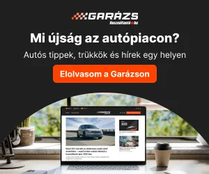 PEUGEOT 207 22