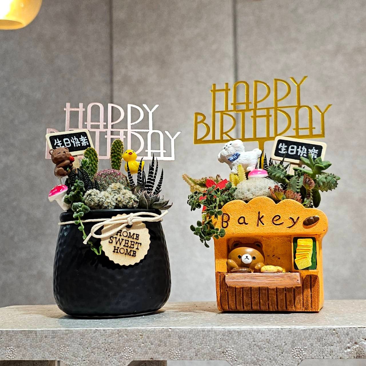 高雄多肉3吋造型組盆