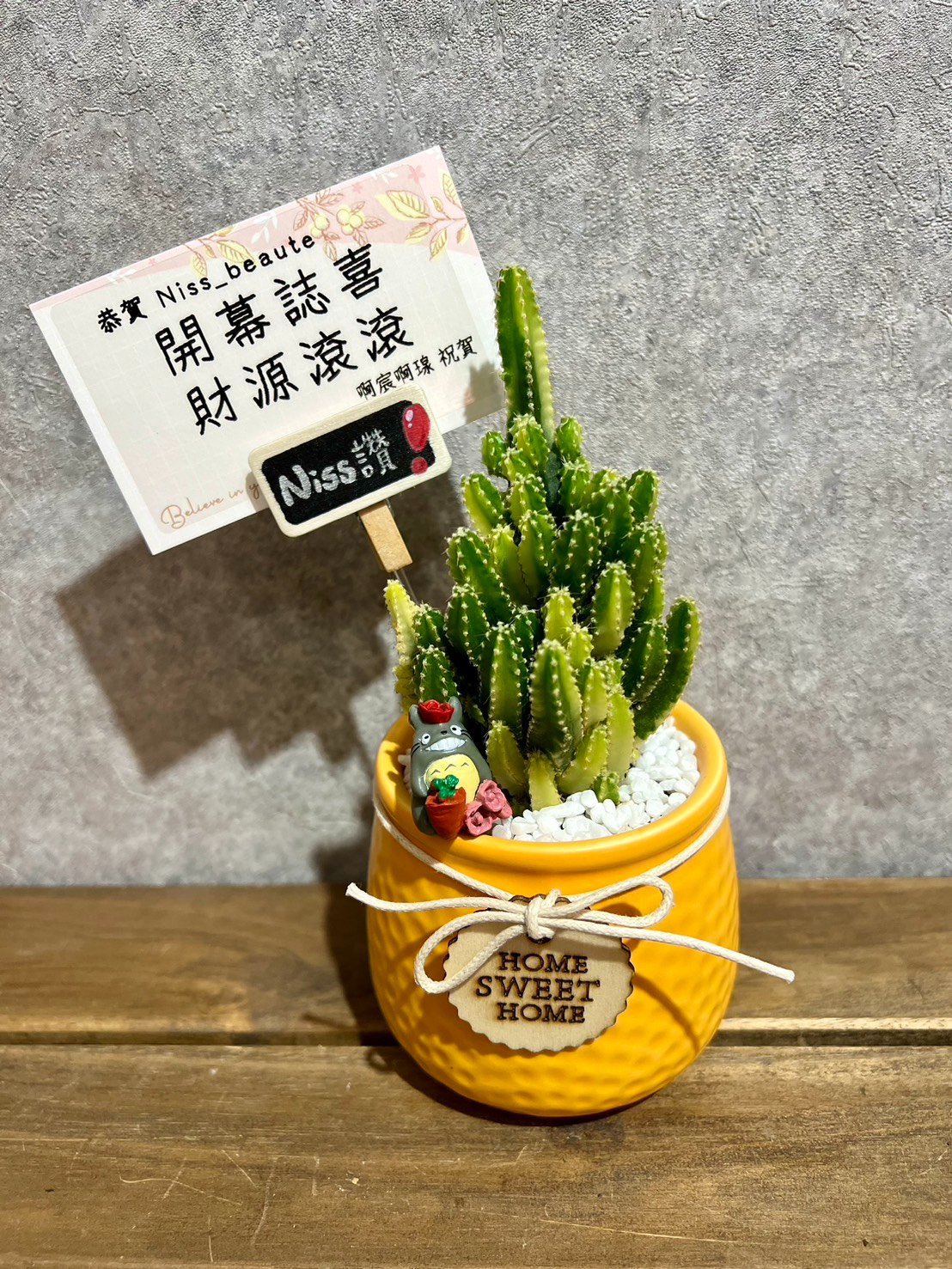 高雄多肉3吋造型質感盆(黃色)