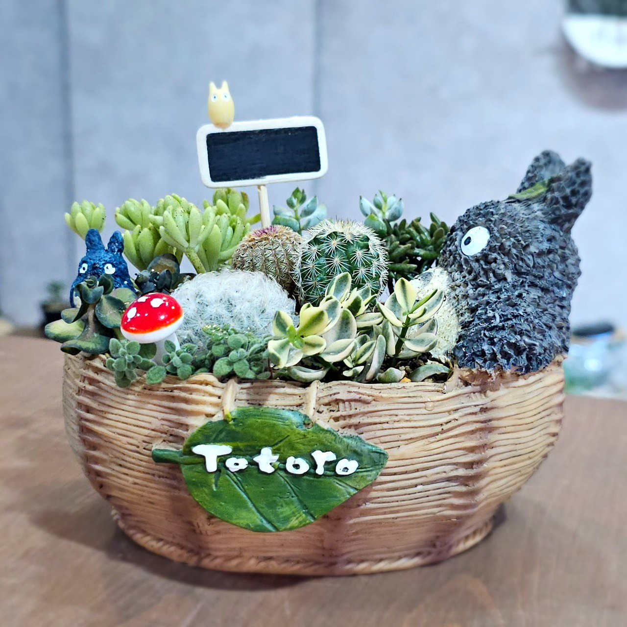 高雄多肉龍貓澡堂